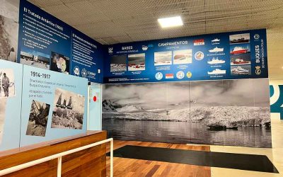 Diseño de Exposición «La Antártida» en Facultad de Ciencias